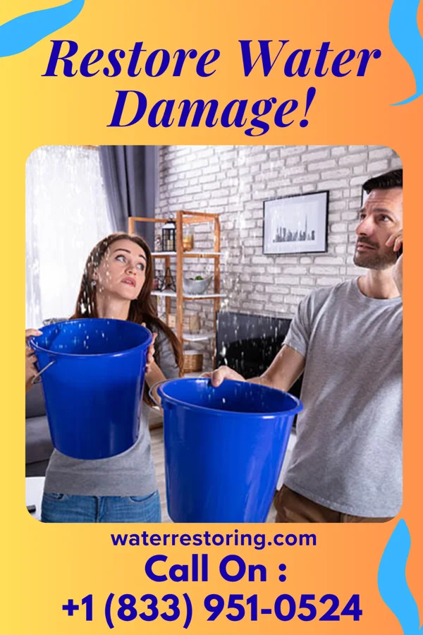 water restoration First Water Restoration Services McKenzie